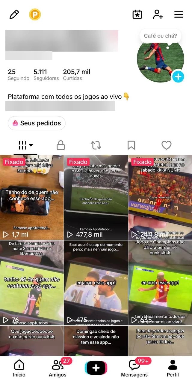 Perfil no TikTok com 5.111 seguidores, 205,7 mil curtidas, link na bio e vídeos fixados com 1,7 milhão e 477,8 mil visualizações